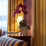 Grand 4* Viljandi (Viljandimaa)